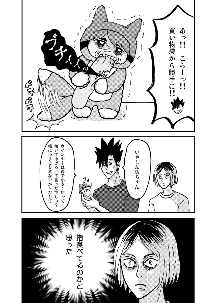 usagigigiyyy's tweet photo. なんでｸﾛとちみｻﾑかというと、なんかいろんな組み合わせでちみけもの世話してたら楽しいなと思っていたからです。 https://t.co/UGchXiqXIz