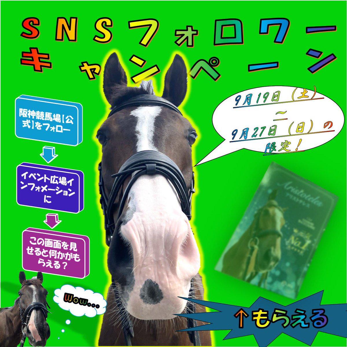 HanshinKeibaJo's tweet photo. 【阪神競馬場フォローキャンペーン】

9月19日(土)から9月27日(日)までの阪神競馬開催期間中、本アカウントをフォローして、この投稿をいいねした画面をイベント広場インフォメーションの窓口に見せると各日先着300名様に何かがもらえる！？

何がもらえるかはお楽しみに！🐴 https://t.co/b7mDexrXMc