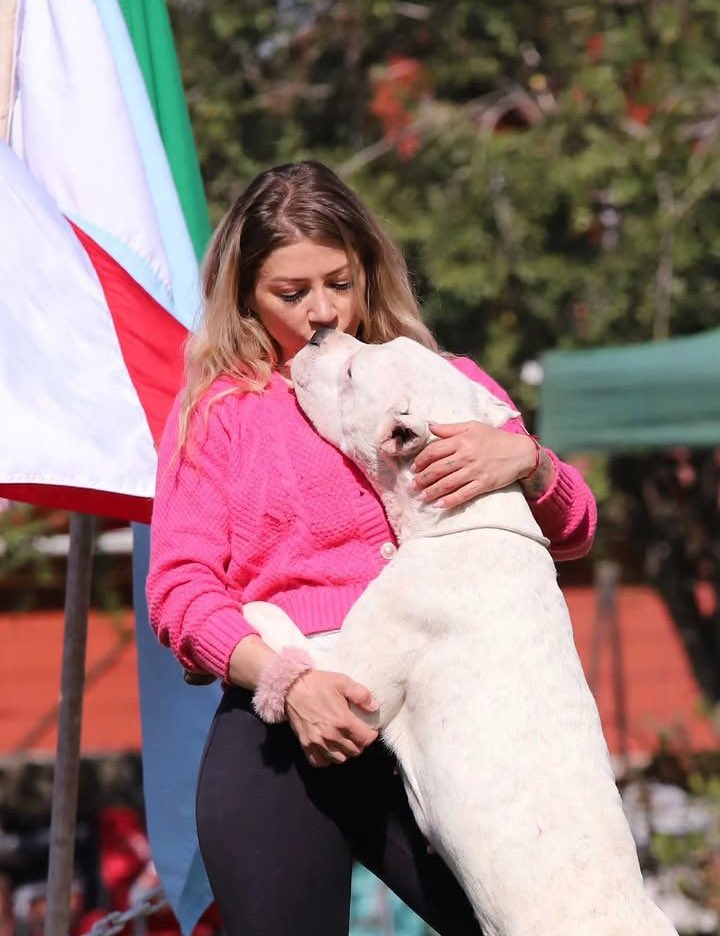 iamlisakarlee's tweet photo. Affection is what I have for my dogs , we do crzazy stuffs in the other room 🐶❤️💦💦

https://t.co/rXm24YNdM3
#DogAlert 
#zoo
#dogmother https://t.co/y2d3YNGarr