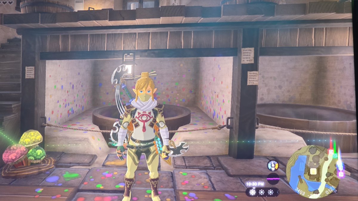 vacant2468's tweet photo. Playing zelda ✨️ https://t.co/9iZaPBAV0l