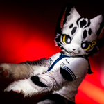 Photo by 起司 (@CheeseCat_fur)