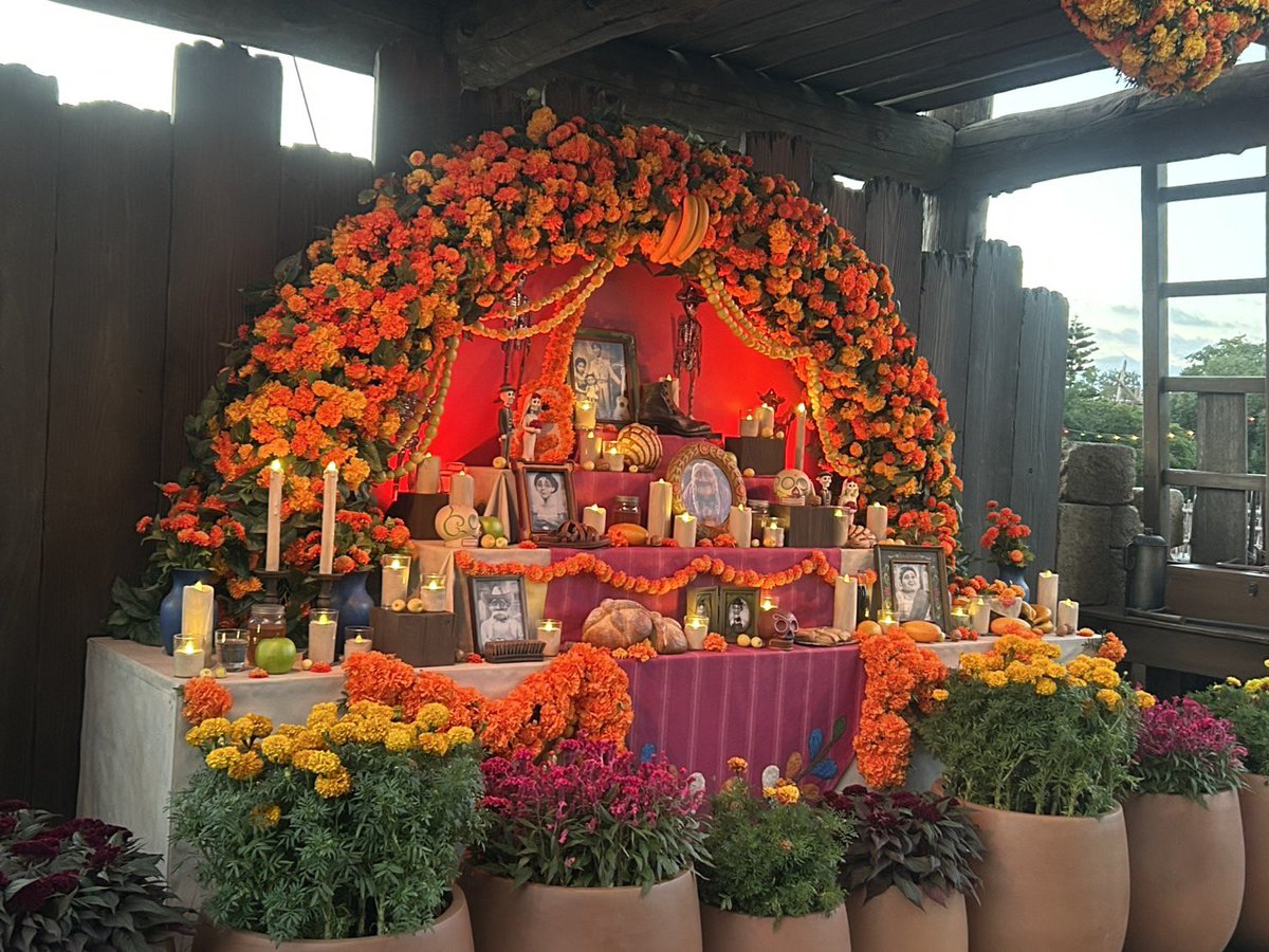 con_conhaitou's tweet photo. ✨やっと東京ディズニーシー🐭🌊に来れた✨
🎃ハロウィン🎃
死者の日
💫Día de los Muertos💫
ミゲルには会えなかったけど今しか見れないハロウィン最高😊🎃

#東京ディズニーリゾート
#東京ディズニーシー 
#リメンバーミー https://t.co/GLLGwyeNTp