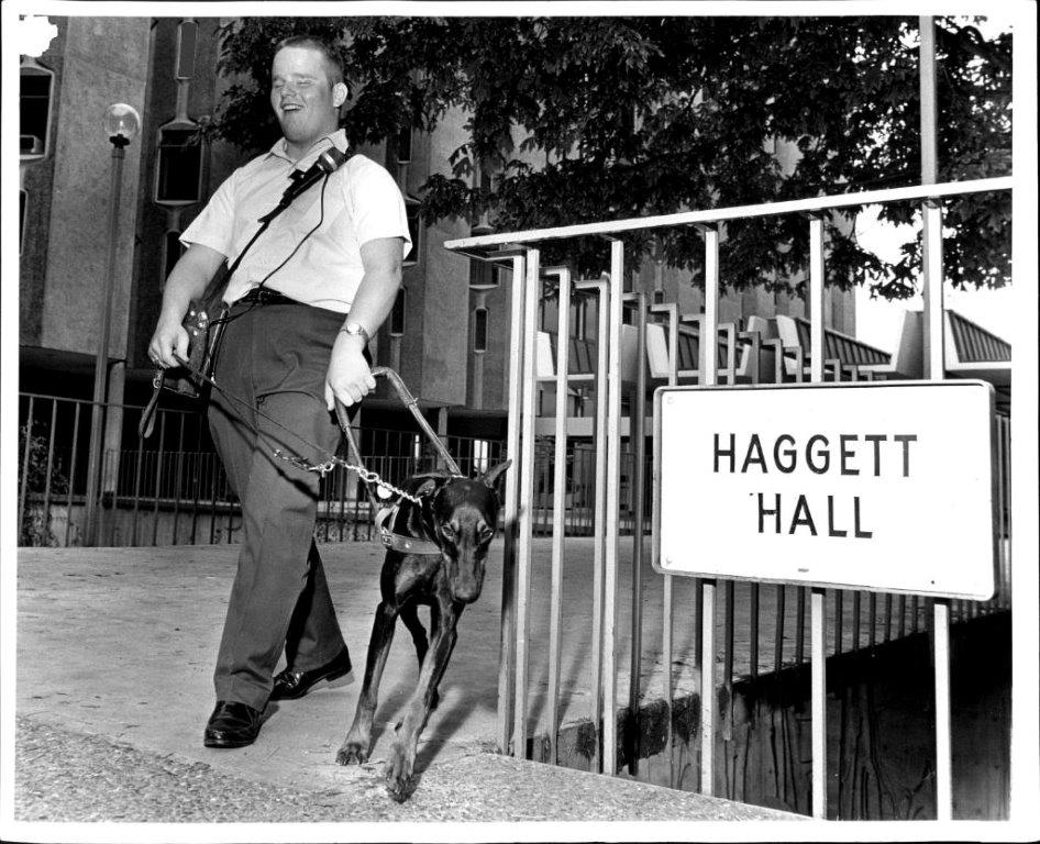 KeesTingeling's tweet photo. Vol aan de bak! Doberman Pinscher aan het werk als geleidehond #historie #geleidehond #DobermanPinscher USA/jaren’60/‘70 https://t.co/PNOjSJV4mf