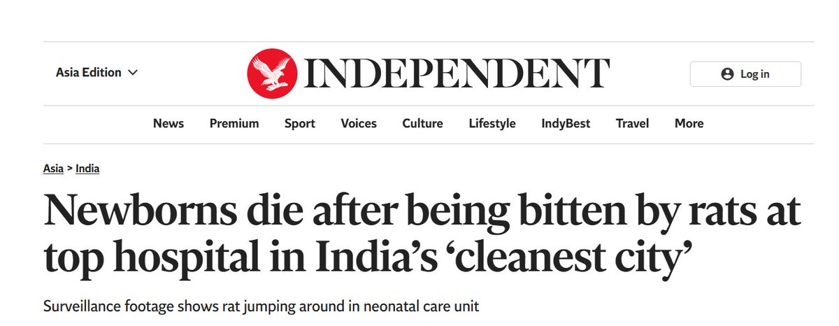 itsmixedufc's tweet photo. @RacistFucker01 @RokoMijic @Wkchfltbgvehj meanwhile condition of local Indians.
Rat bite kids in hospital. Kids and adults died after drinking mixed sewage water in THE CLEANIST City of India.
Now guess the compensation, is it more of less than the iPhone Duo. https://t.co/WIzwYbwYZL