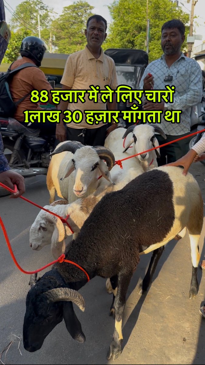 JugnuSharma16's tweet photo. https://t.co/tX5SdXnyft