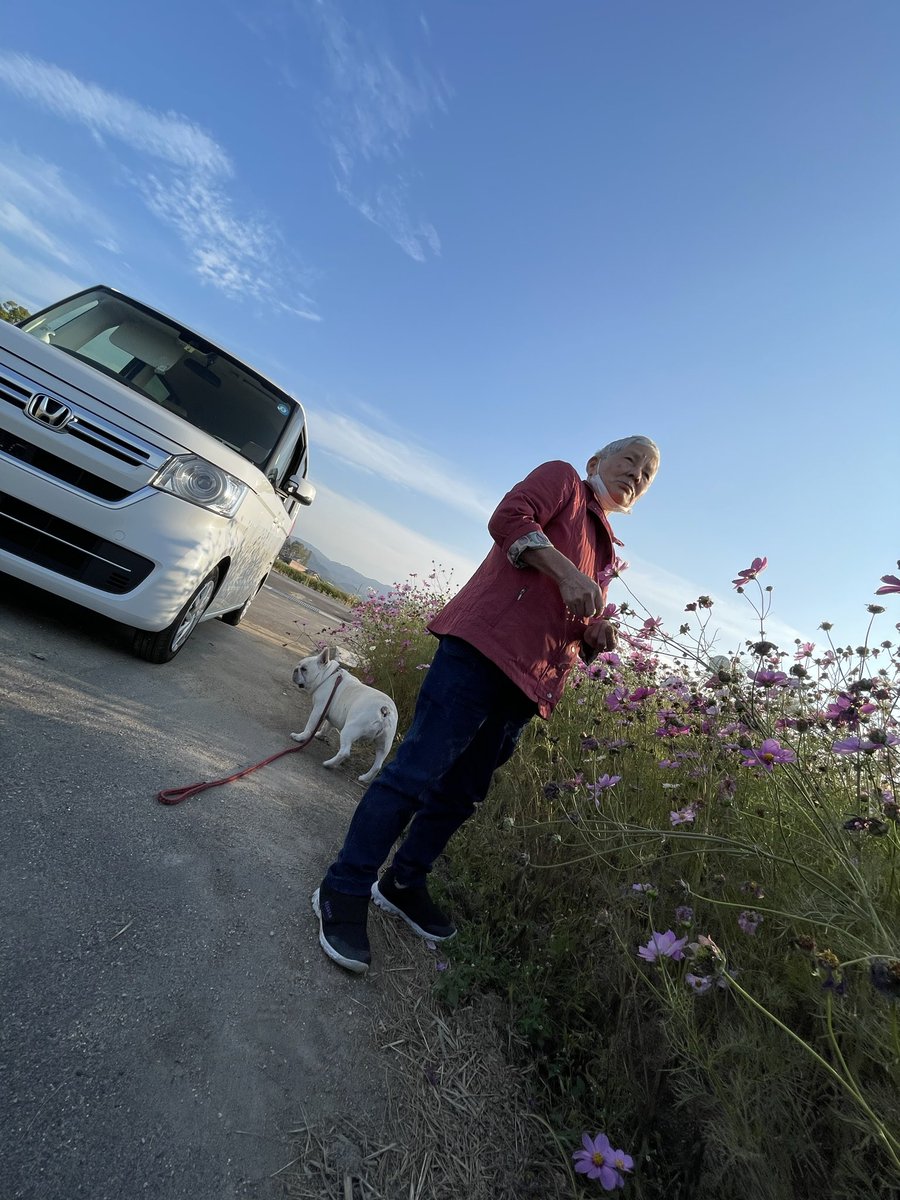 MayaS2x's tweet photo. 人がよーけおる場所で住むと
季節を感じられる場所に出かけんと
自然の見頃や感性が
わからんよーなるし段々と失われてく。

嫌やわぁ。... https://t.co/qkCAqYKIpJ