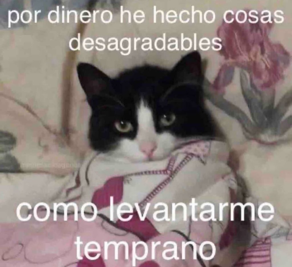 skereunpesado's tweet photo. https://t.co/4s3hH1xKH0