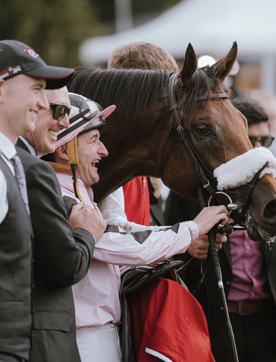 widdenstud's tweet photo. The response to our recent announcement has been Hotazhell🔥

Thank you so much for all the lovely messages of support and congratulations.

We’re incredibly excited to welcome this three time Group 1 winner to Widden for the 2027 season! ✨  

#hotazhell #2027breedingseason #australia #futuresire #champion