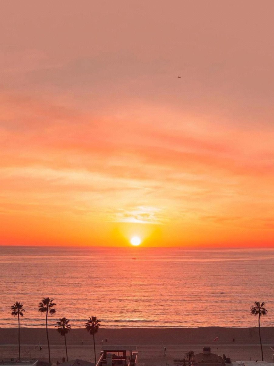 ShiwangiTiwar14's tweet photo. Just found a hidden beach in Portugal—sunset painted the water pink, and the only sound was waves. No crowds, just pure magic for my solo trip! https://t.co/e1Nd4bctp8