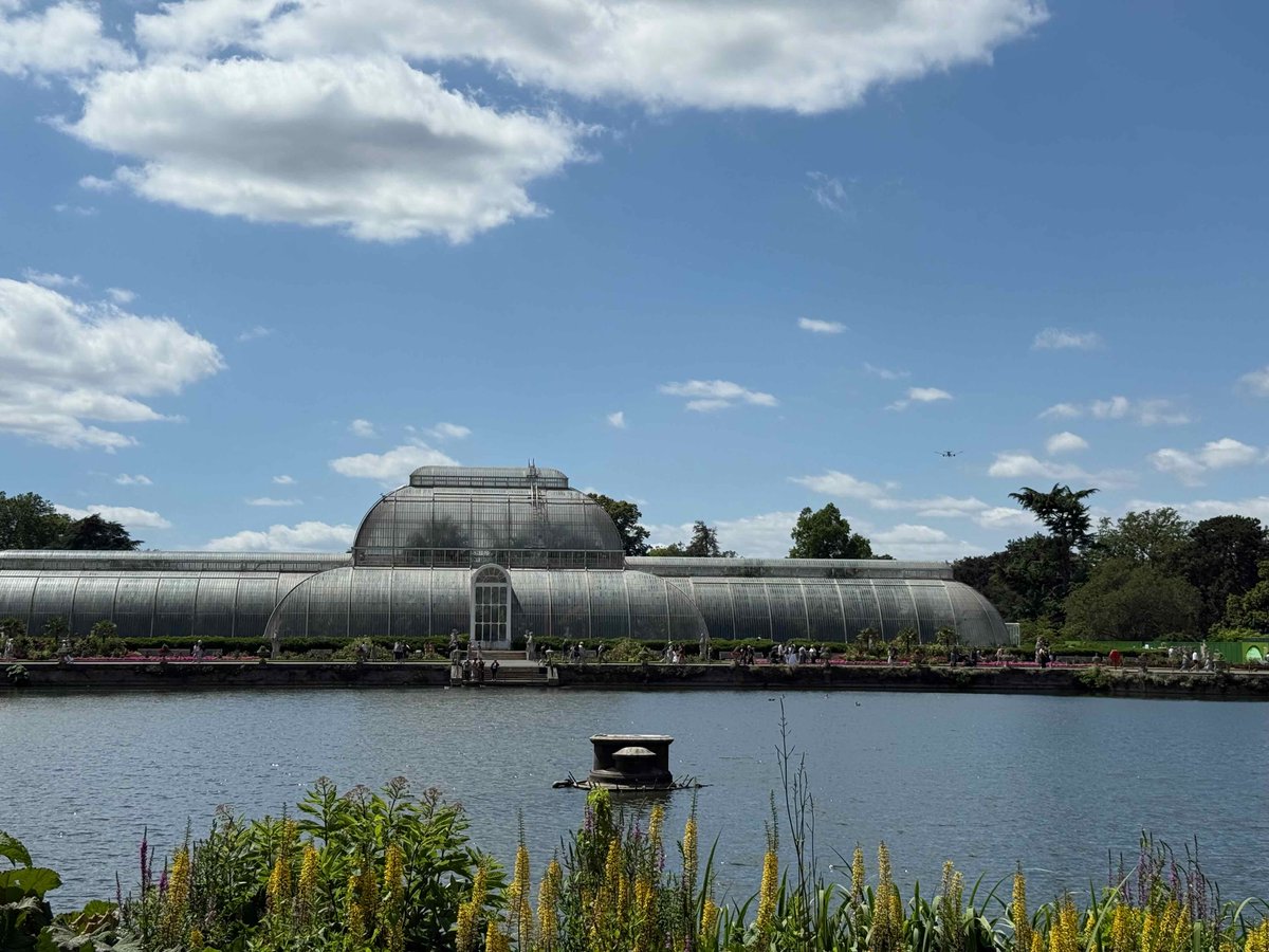 seemoreglass_22's tweet photo. #10DaysInTheUK_Summer2026 
Final day in London: spent it at Kew Gardens. Loved the Glasshouses, Henry Moore exhibition, and stunning installations. Capped it off with afternoon tea at The Original Maids of Honour nearby
#RoyalBotanicalGardenKew
#AfternoonTea
#Day5/10 🇬🇧✨ https://t.co/D9pF1iHvQX