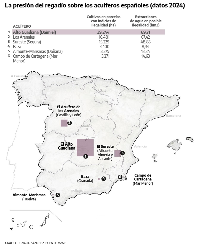 eldiarioes's tweet photo. ❗ Radiografía del robo de agua en España: cómo se vacían acuíferos para regar https://t.co/YGg9WGjywM https://t.co/vNfcWcF781