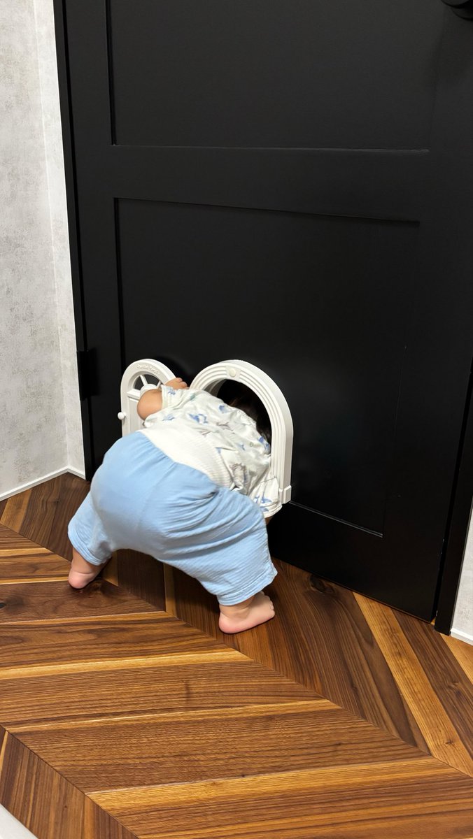 K_now_357's tweet photo. 猫用ドアからパパを呼ぶ1歳児です

お納めください https://t.co/RoNmsKl8G2