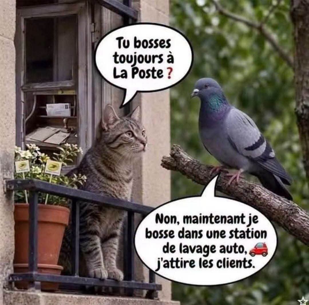 csibon27's tweet photo. 🥰😇 https://t.co/BSt8vY0IVx
