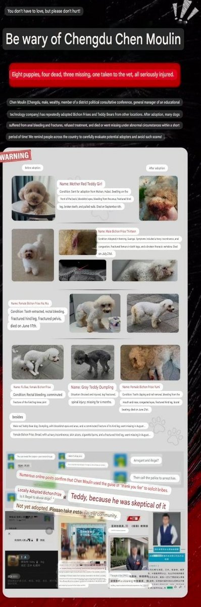 MaleficentLady's tweet photo. More information on the Chinese dog rapist, torturer and murderer from Chengdu City, Sichuan Province, China named Chen Xiaolin who is the Chairman of an educational company WITH ESPECIALLY IMPORTANT FOR JAPANESE FOLLOWERS AND TWITTER USERS.

Chen Xiaolin graduated with a PhD from Waseda University in Japan. He seems to frequently travel to Japan and will likely obtain Hong Kong residency in a year. Everyone in Japan should keep a close eye on this scoundrel and report him to Japanese authorities and immigration, as well as try to get him BANNED from entering Japan.

Secondly, every single one of the dogs (poodles and bicon frisés) his rescued from him or found dead and located back to his purchase were raped 😭 they had anal injuries and broken hind legs; they were clearly sexually assaulted. He's also been pulling their teeth out ans torturing to them to death in various ways.

#Chengdu #Sichuan #SichuanProvince #SafeChina #ChinaCool #ChinaMaxxing #ChinaAnimalProtectionLaw 
#justiceforwangwang #wangwang #旺旺 #Jieyang #BoycottJieyang #BoycottGuangdong #Guangdong 
#StopCatTortureInChina #StopKittenTortureInChina
#beijing #china #trumpxisummit #apec #apec2026 #BRICS #JusticeForCowcat #Japan #Wasega #Tokyo #Osaka #ChinaTravel #ChinaTourism #TravelChina #TourismChina