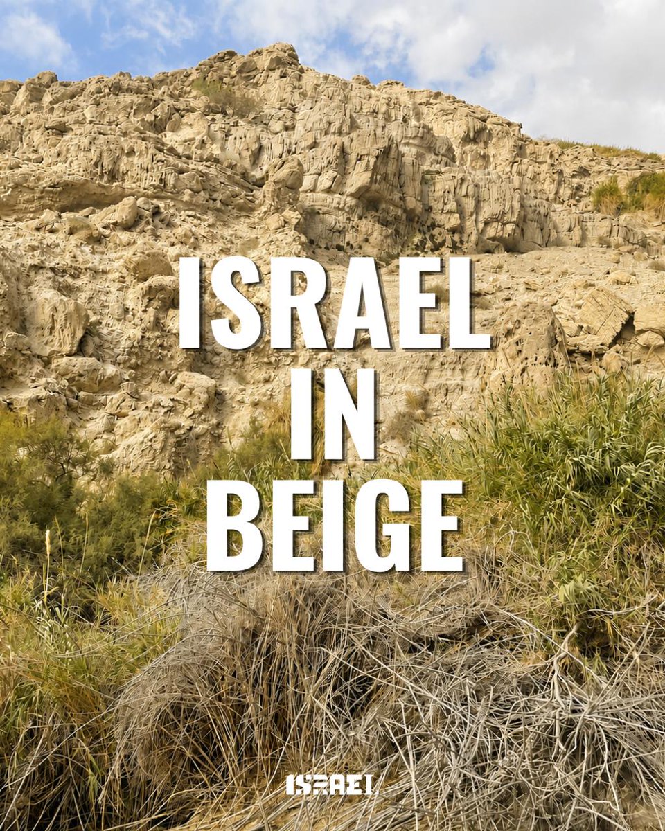 IsraelinLatvia's tweet photo. Nākamā mūsu Izraēlas krāsu kampaņā ir: BĒŠĀ 🐪🇮🇱

No Jeruzalemes mūru akmeņiem un senām drupām līdz humusam, tuksneša ainavām un dzīvniekiem ☀️

#israelincolor #beige #desertanimals #jerusalemstone #hummus https://t.co/LsEGBg6Ffm