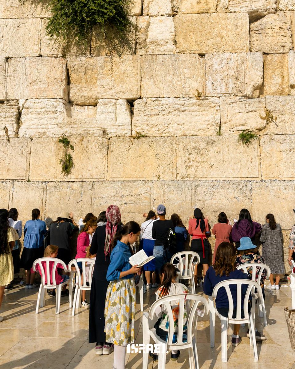 IsraelinLatvia's tweet photo. Nākamā mūsu Izraēlas krāsu kampaņā ir: BĒŠĀ 🐪🇮🇱

No Jeruzalemes mūru akmeņiem un senām drupām līdz humusam, tuksneša ainavām un dzīvniekiem ☀️

#israelincolor #beige #desertanimals #jerusalemstone #hummus https://t.co/LsEGBg6Ffm
