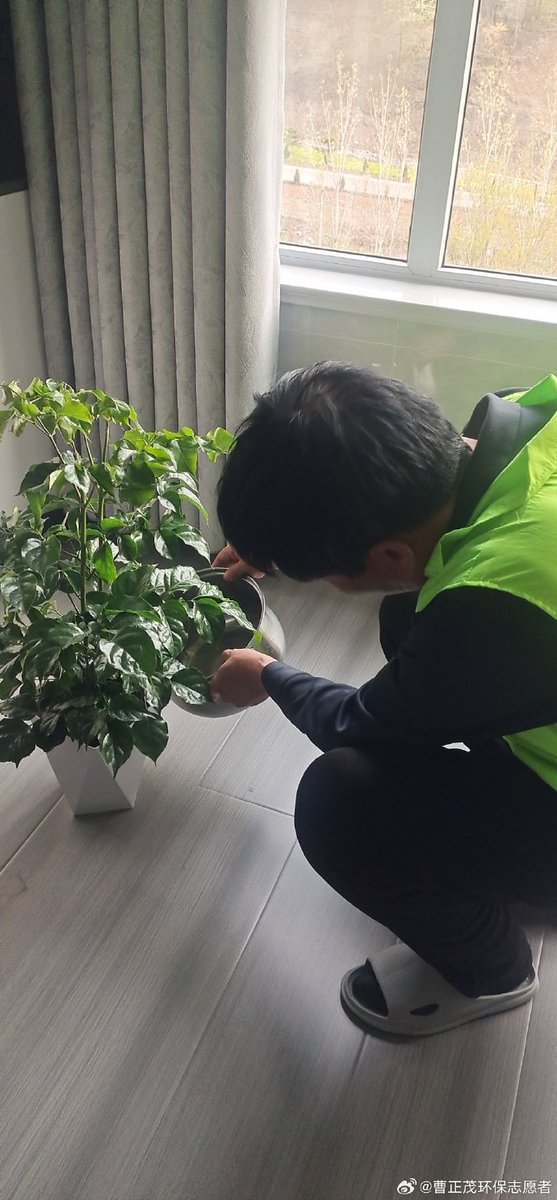 realn678906's tweet photo. Pro tip for your pothos: Wipe its leaves with a damp cloth weekly to remove dust, which keeps it breathing bright and growing strong! https://t.co/C9usYQnr5r