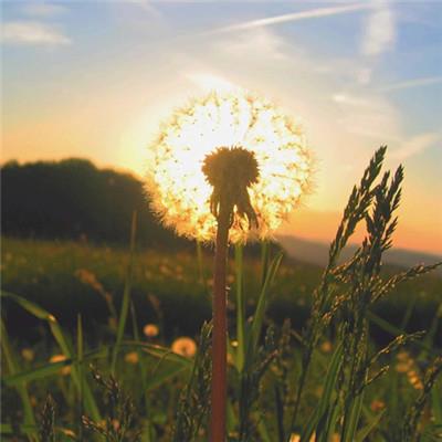 Markt_Researchr's tweet photo. 🔥 🌹 🪐 🌸 Scrolling through old photos from last summer's road trip, missing those late night diner stops and endless highways time to plan the next one before winter locks us in. https://t.co/fHLIBGP1wy