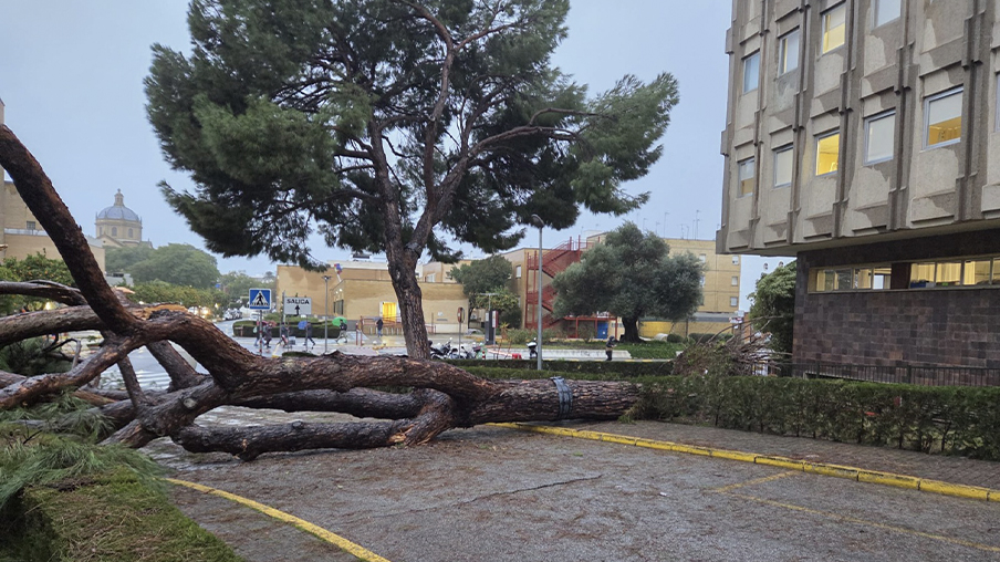 SATSE_Andalucia's tweet photo. 🍃🌧️#SATSE pide al #SAS que aplique el nuevo permiso por Fenómenos Meteorológicos Adversos al personal sanitario.
⚖️ Recuerda en el Estatuto de los Trabajadores está reconocido este derecho desde 2024.
🌐 https://t.co/fH0bPip3ZP https://t.co/OfyH0IFwVS
