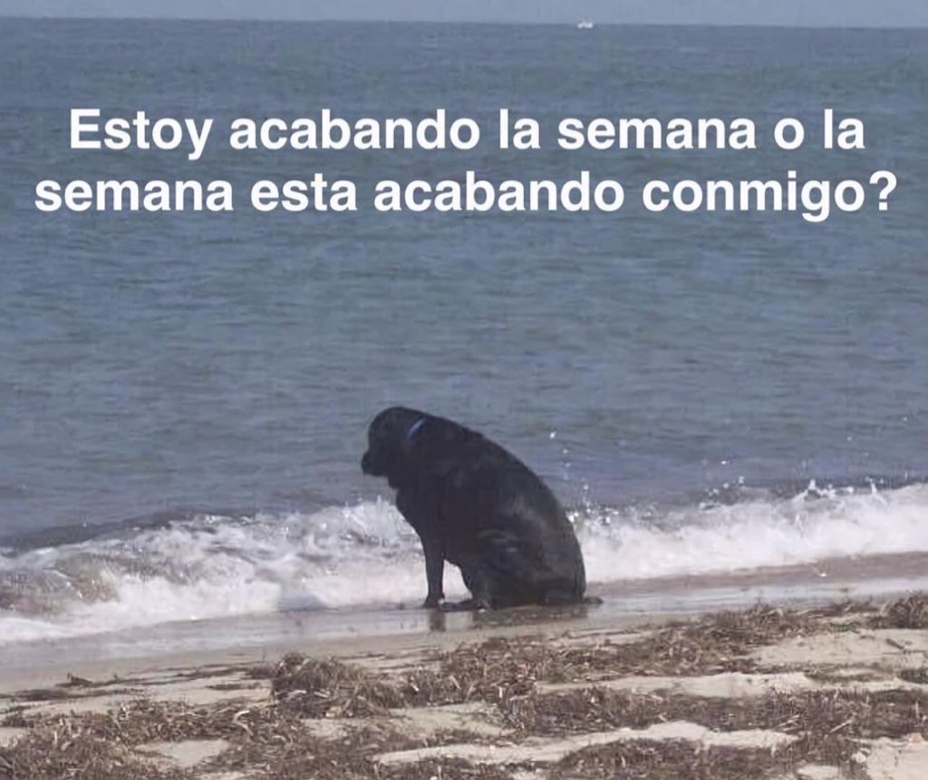 skereunpesado's tweet photo. https://t.co/YgGz69oBUD