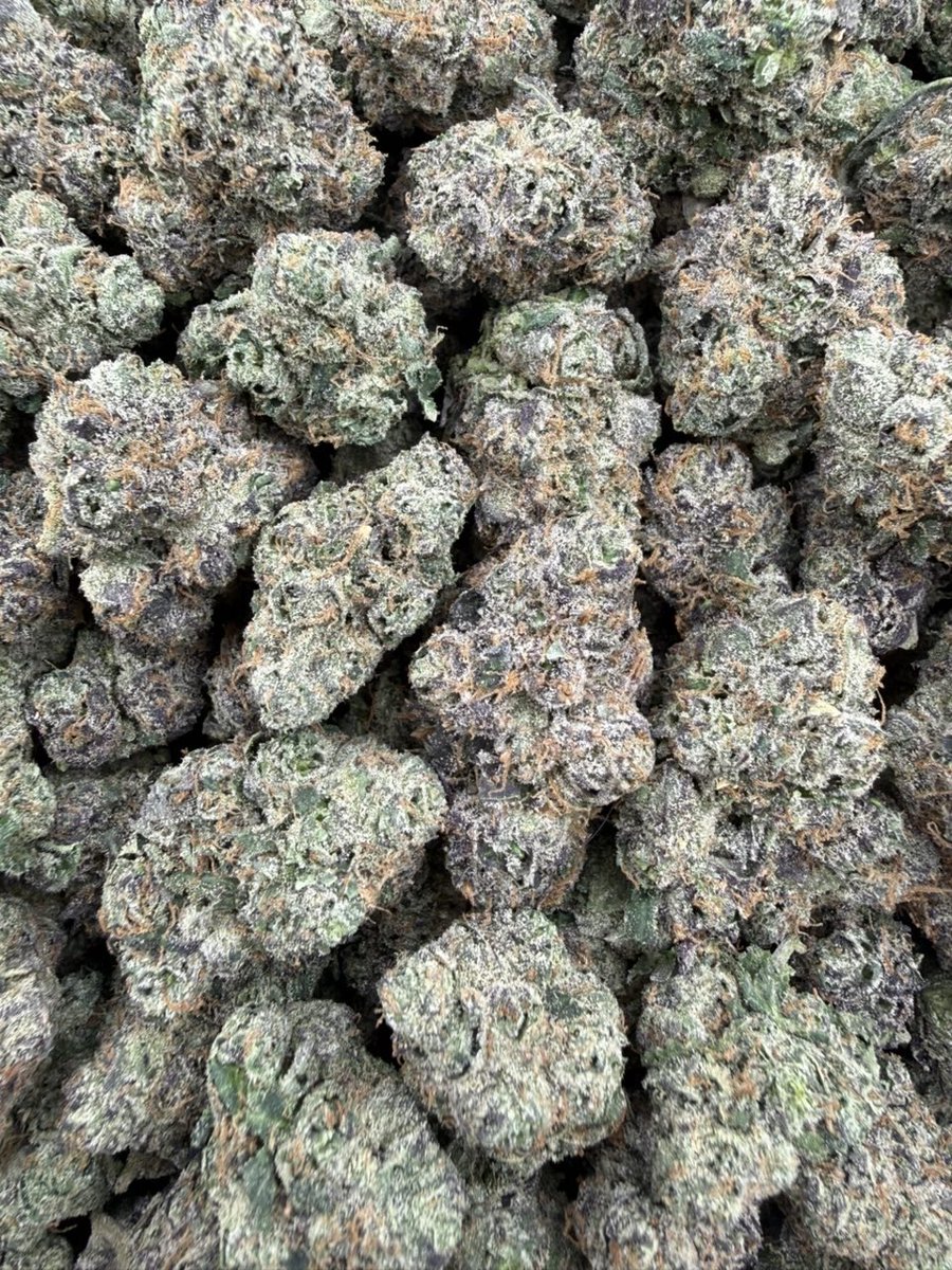Thethirdeyqeyv's tweet photo. Fruit loops exotics https://t.co/o5CBUq2od1