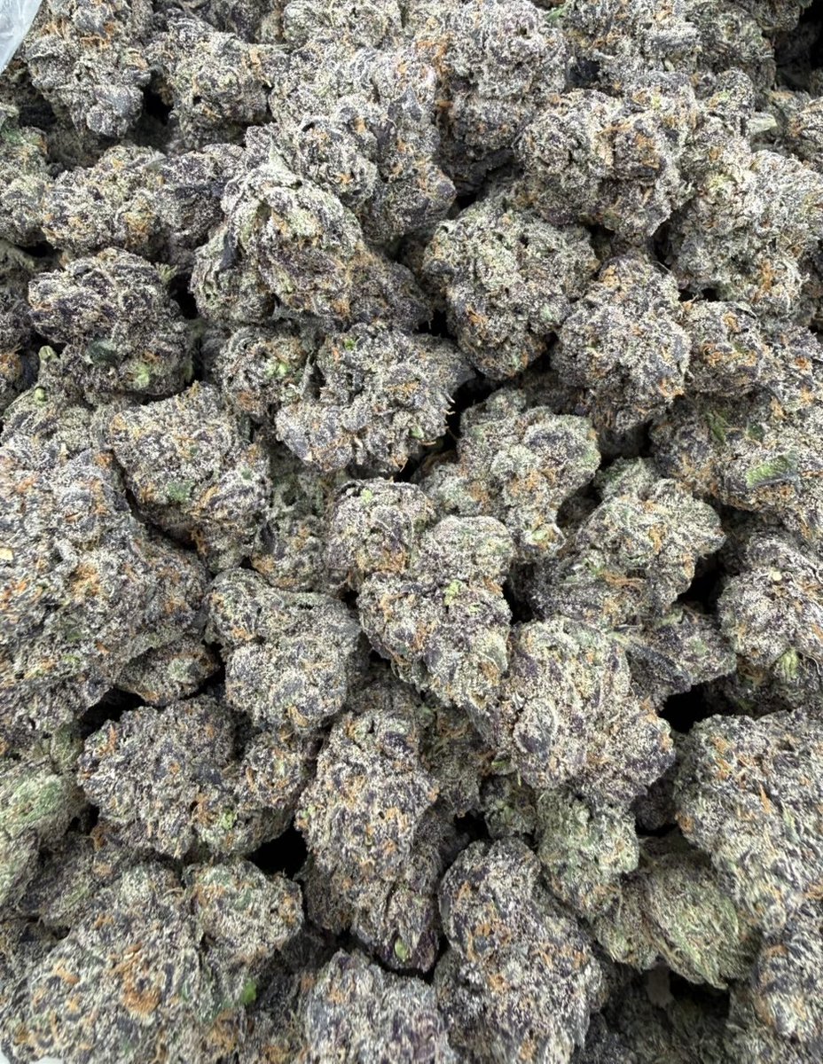 Thethirdeyqeyv's tweet photo. PURPLE PEZ EXOTICS https://t.co/MeeKc3WV0S