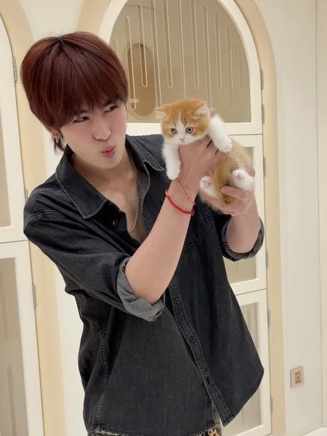 ifaprilgirl's tweet photo. โคตรน่ารักเลย นี่มานแมวสองตัวหนิ 🐈‍⬛🐈💘 https://t.co/aKWNXf2XvP