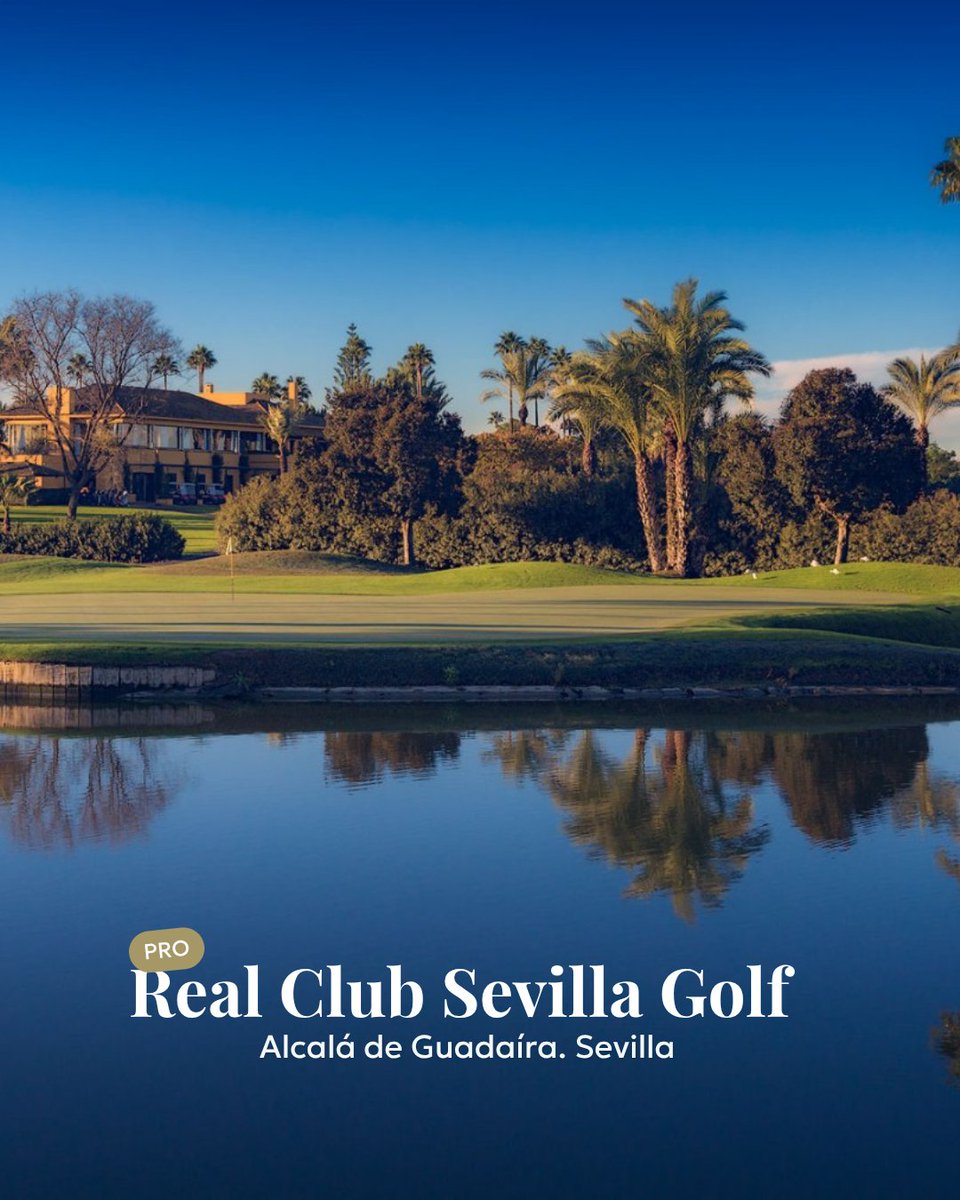 PlaySpainGolf's tweet photo. 🗺️ ¿Dónde jugarías según tu nivel? ⛳

🟢 PRINCIPIANTE
Centro Nacional de Golf, Madrid. 

🟠 AVANZADO
Alhaurín Golf. Diseño de Seve Ballesteros.

🔴 PRO
Sevilla Club Golf. 🏆

¿Dónde juegas tú? 👀

#PlaySpainGolf #GolfEspaña #GolfTravel #GolfLife #GolfLovers #GolfTrip https://t.co/BCnmT041OB