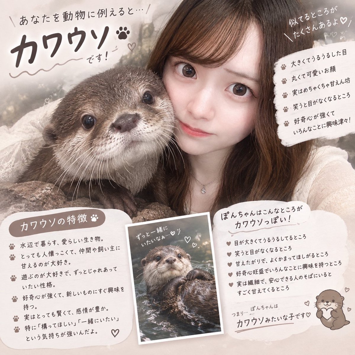 pon_oshiose's tweet photo. 流行りの動物診断やってみた🫶🤍 https://t.co/EWzlrGmi36