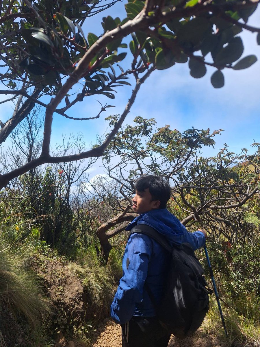 liomorii's tweet photo. [QUEER FRIENDSHIP APPLICATION]

name: lio
age: 21++
occupation: profesional advisor on progress
zodiac : 🦀
height: 165 cm
hobby : hiking, berenang, main ml + rosbloks 😹
fun fact : pernah tektok gunung lawu. 8,5 jam nanjak - summit, 5 jam turun. pulangnya ngantuk + rem blong 😹 https://t.co/a7UlsI8mwI