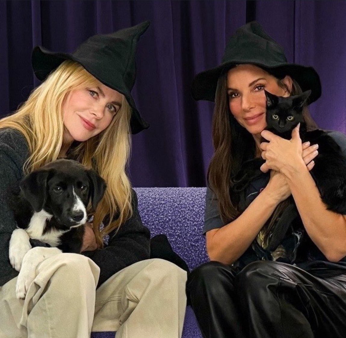bullocksource's tweet photo. Thank you, Sandra Bullock and Nicole Kidman for the most iconic #PracticalMagic2 press tour. 🤍 https://t.co/DzxEtKRuT2