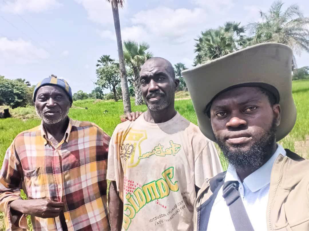 P2P2rs's tweet photo. Bullanjorr, Foni Bintang Karanai, WCR, rice fields visited by P2-P2RS signal a promising, visible harvest. 
"We are very thankful to P2-P2RS for the support given to us, ranging from certified seeds, ploughing, and fertilizer, to agrochemicals," said Sambujang Darboe. https://t.co/S6GuhcWyoV