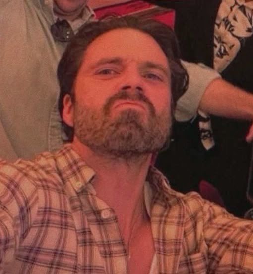 wintersldrswirl's tweet photo. what spending time with sebastian stan does to you https://t.co/rq9bjMOtqv