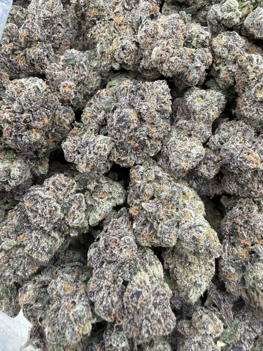 Thethirdeyqeyv's tweet photo. Warheads Exotic https://t.co/kopgaBTf0Z