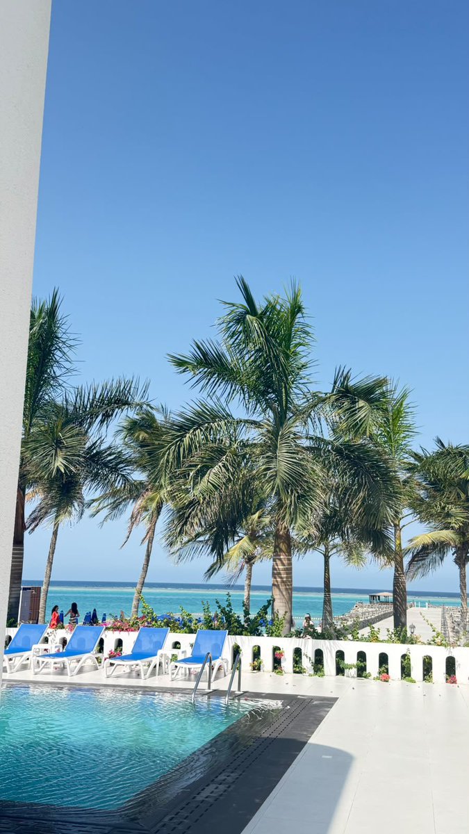 queenrorre's tweet photo. ☀️☀️ https://t.co/qlhsxGJ1op
