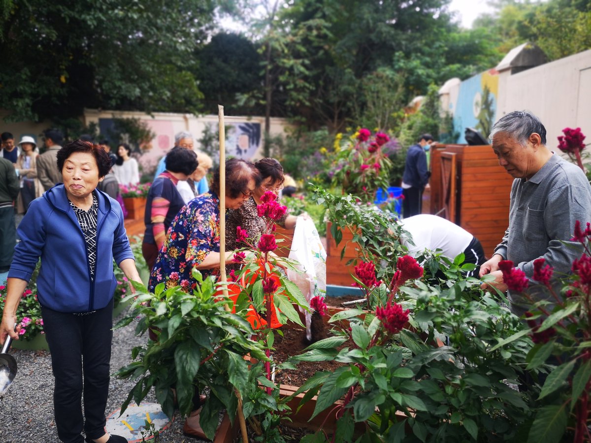 evadc001354's tweet photo. Join our neighborhood plant swap this Sat 10am at Central Park! Bring extra pots u0026 trading tips—all are welcome. https://t.co/ceb9b8qTxa