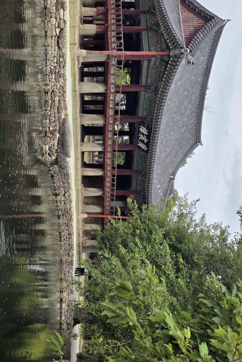 tra5hcanhere's tweet photo. 📍광한루원

삼십분에서 한 시간정도 시간이 있다면 해설사님이랑 같이 도는거 강추 표면적인 춘향전 말고 많은걸 들려주셔서 재밌구 해설사님이랑 같이 가야 광한루에 올라가 볼 수 있기 때문에 ..ദ്ദി https://t.co/ETRTT7zNwO