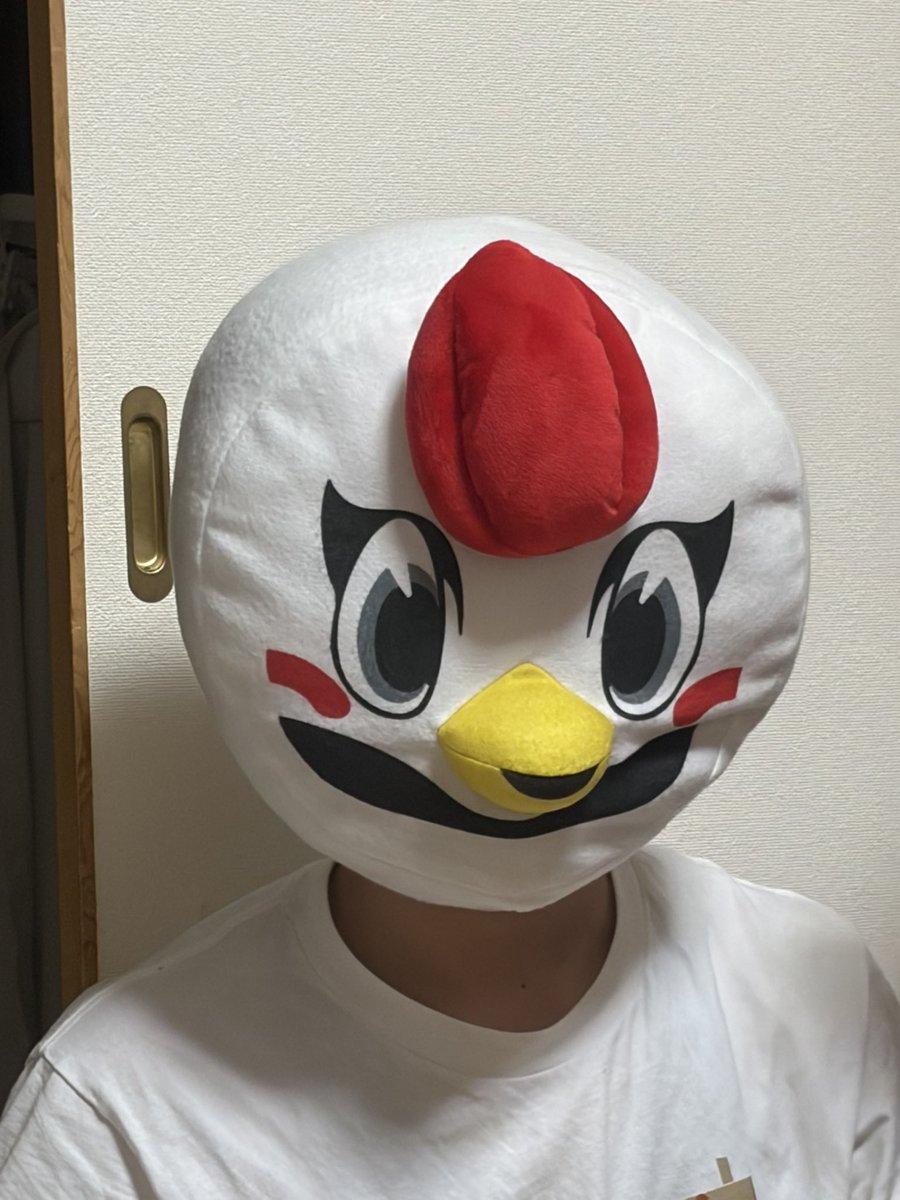 a04011016's tweet photo. 特典の使い方はコレであっていますか？
#群馬クレインサンダーズ
#THUNDERS_HOUSE 
#サンダくん https://t.co/LpN0YhOMun