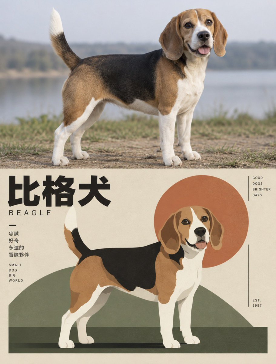 daaihq's tweet photo. 这个风格一眼就爱上了！！🎨📘🧡
把人物、猫猫狗狗转成这种 复古现代主义海报感插画，颜色干净、构图高级、视觉冲击力还很强。特别适合做 人物形象、宠物形象、封面图、海报感头像，随手一张都很出片～

评论区留下你的作品，一起解锁有趣的风格～
提示词我放评论区啦👇

#gptimage #prompt #人物宠物形象