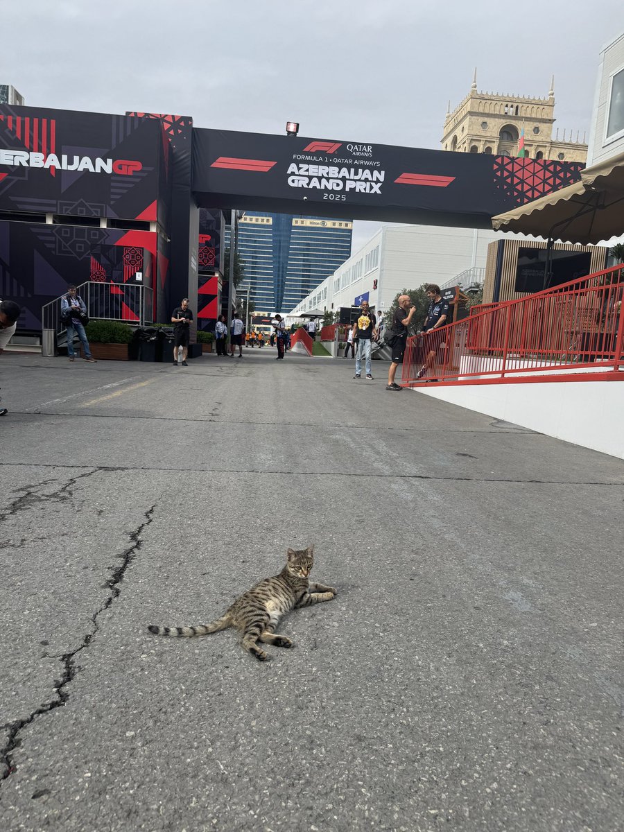 visacashapprb's tweet photo. manifesting the paddock cat is in Baku next week 🙏🙏

#F1 #VCARB https://t.co/51lbbwe9Is