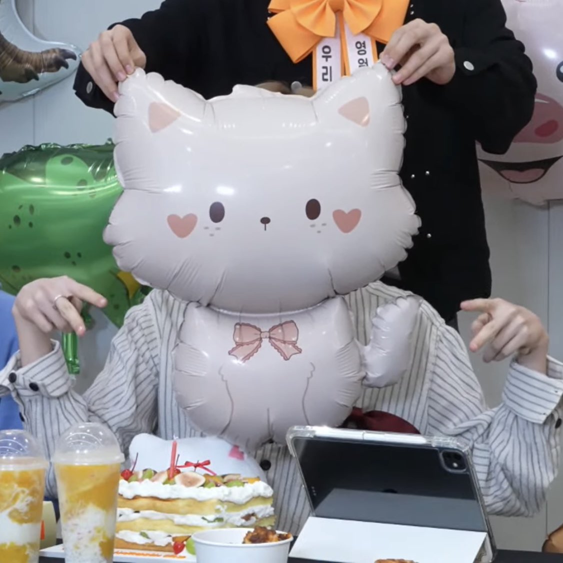 58luckyclover's tweet photo. サンヒョンくんがいぬ、ねこ、ぶたのどれに1番似てるかって検証してるのおもろすぎるしぶただけ明らかやる気なくてしぬwwwwwwww https://t.co/9LVZd4exUn
