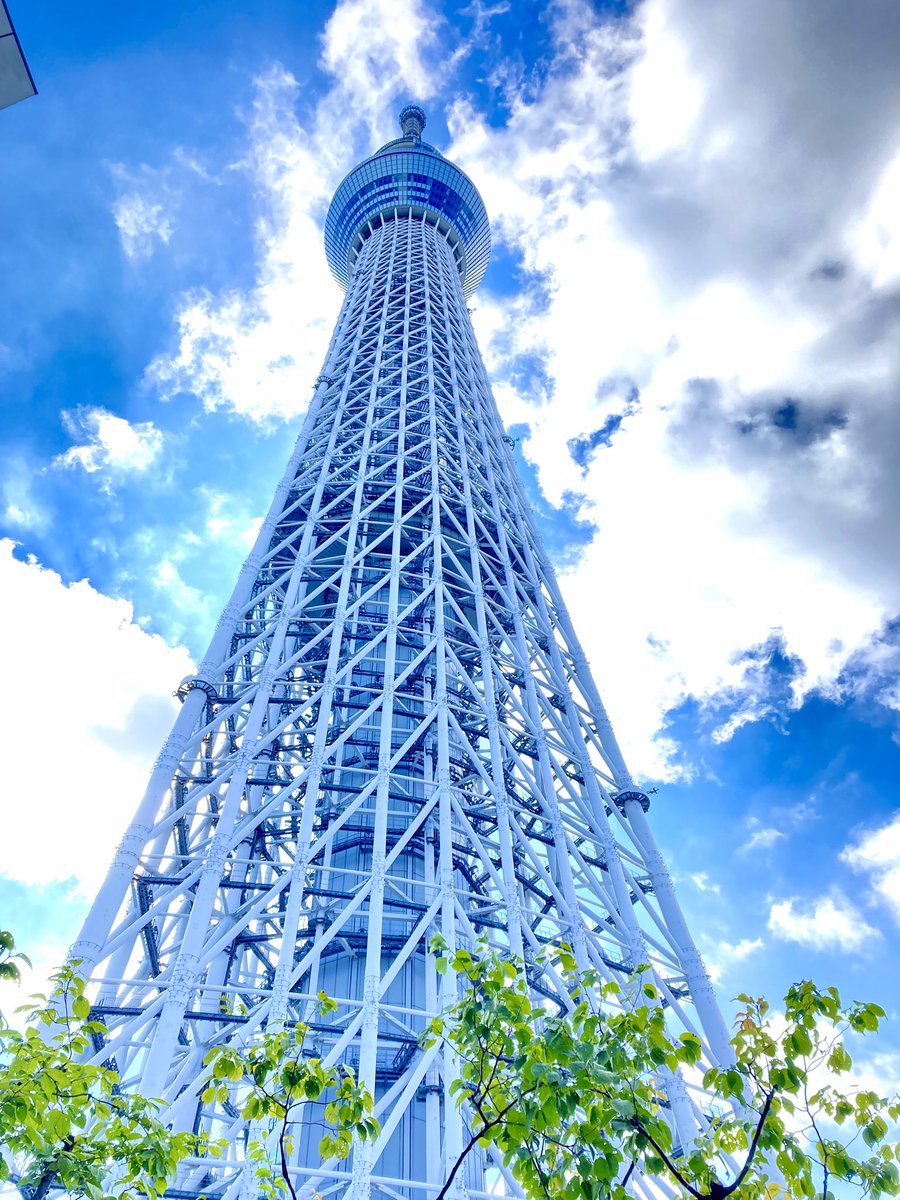 maimaikamome's tweet photo. 久しぶりの、劇団員の時間。
押上の小学校にお邪魔してきました。

やっぱり現場はいいねぇ。 https://t.co/hCauRuyDqN