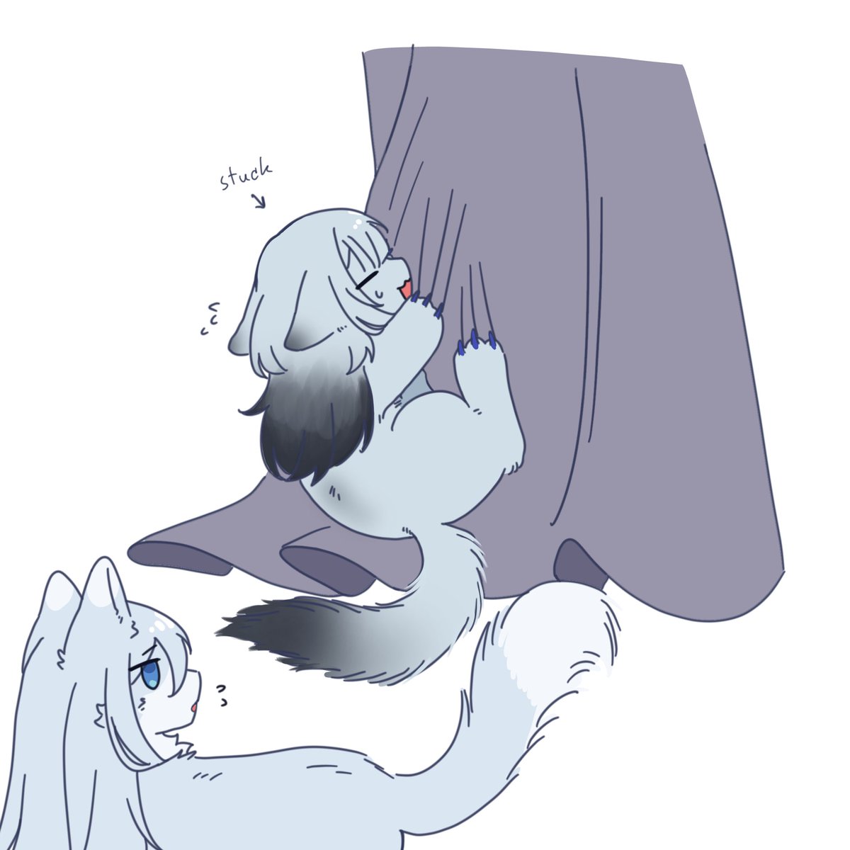 so_low4's tweet photo. Shadow Shadow cat https://t.co/PhPMaRsTrx