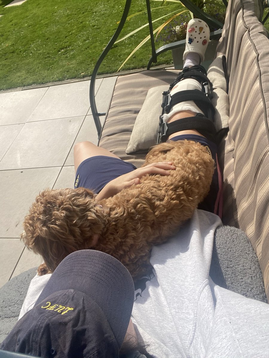 emilyrender's tweet photo. Pup hasn’t left my side since I got back 🥹 https://t.co/CmlHMk7FbQ