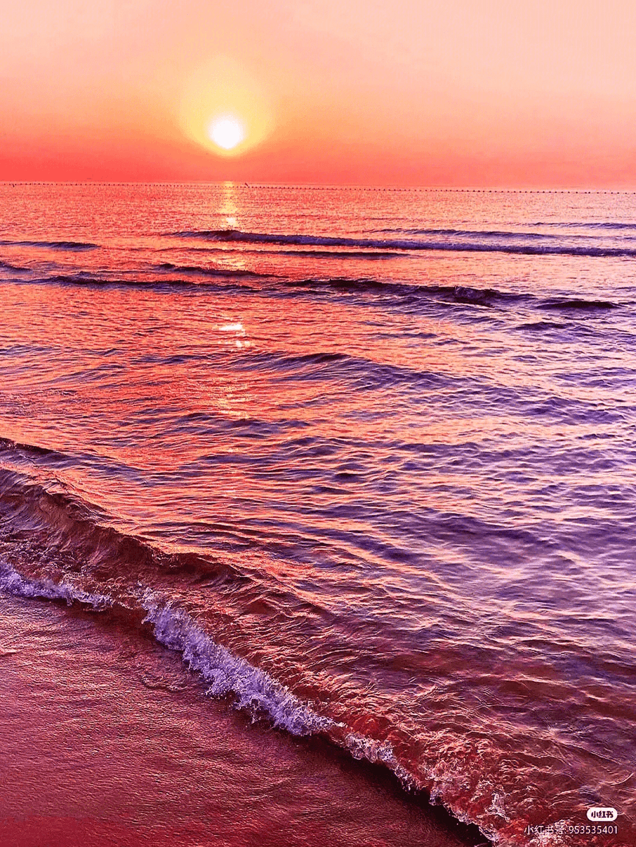 clovz907880's tweet photo. Chasing the sunset at the hidden coastal cove I stumbled on today—warm sand, salt in the air, and not another soul in sight. Pure magic. ， https://t.co/9A0Z14CiKN