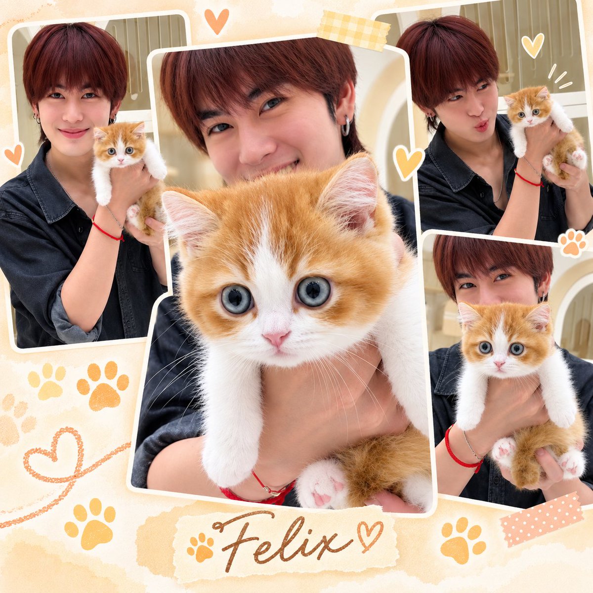 ranatp2420's tweet photo. น่ารักกที่สุดเลยยลูก 🐱🐱🐱🐱

#santapp
#Felixpp https://t.co/KlWCRV6XUD