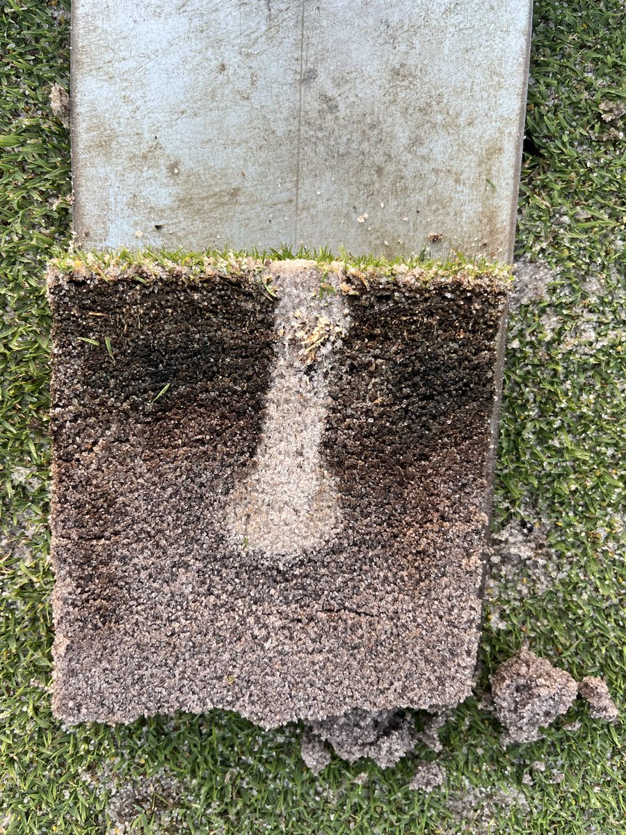 ADryject's tweet photo. Dodging drops at 2 courses this morning. 2 different profiles, 2 perfect shots. #PoundSand https://t.co/H10Nh3KWnX