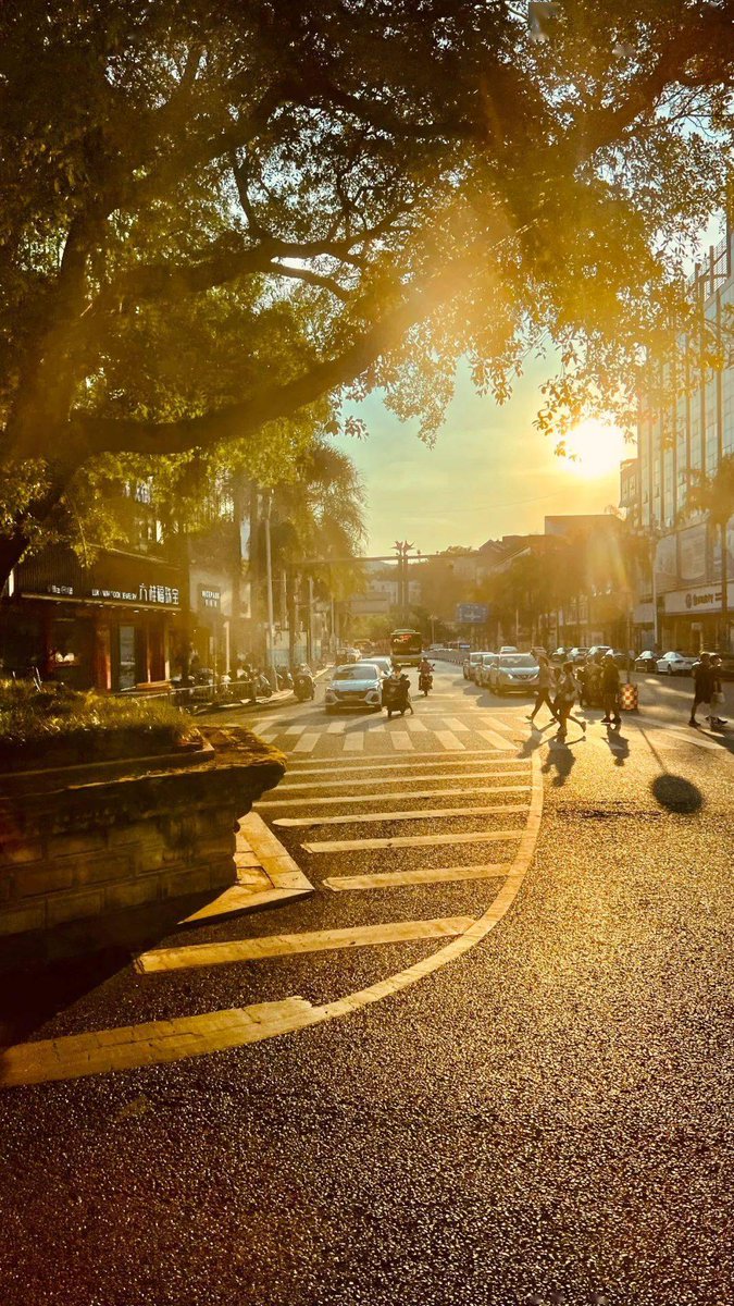creau216893's tweet photo. Vibrant street corner energy with morning sunlight filtering through banyan leaves — small vendors’ aroma + passersby’s hurried steps make ordinary days feel alive https://t.co/xG8HPUTHIR