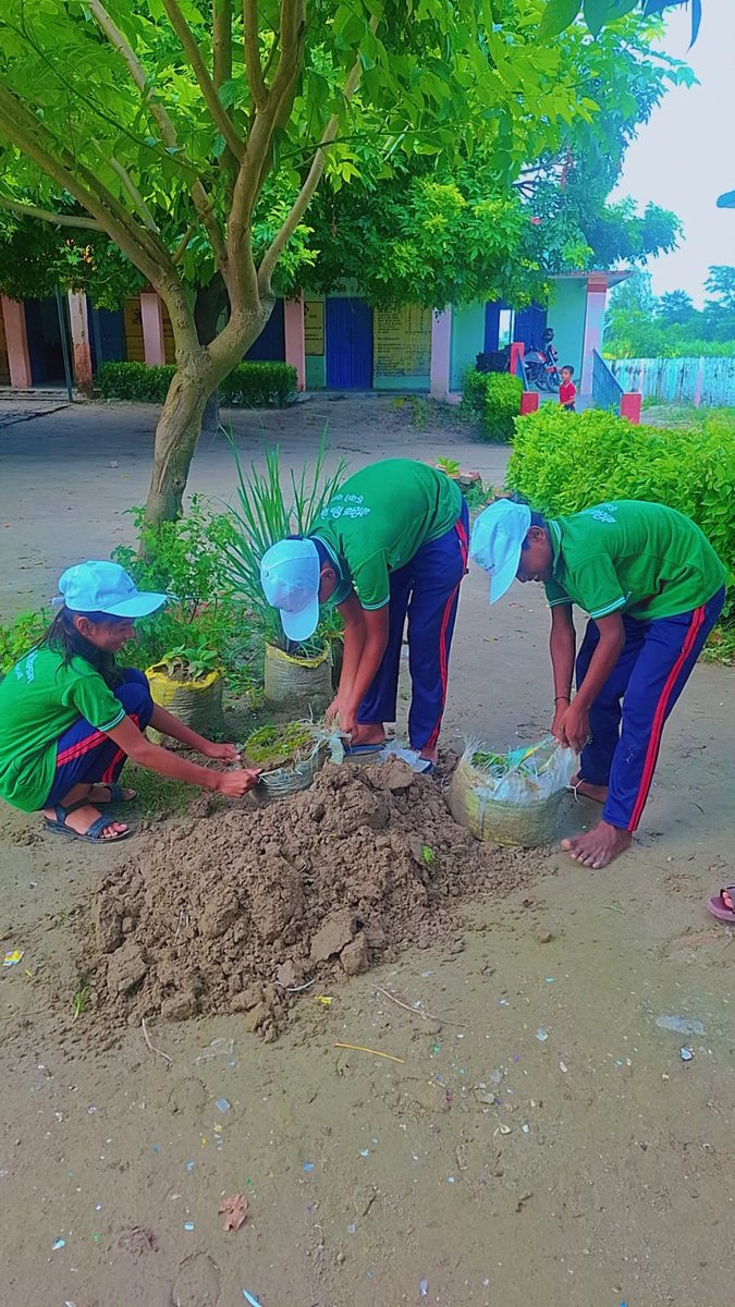 basicshiksha_up's tweet photo. पुरानी बोरियों से नई पहल, आरोग्य वाटिका को मिला नया स्वरूप

जनपद आजमगढ़ के कंपोजिट विद्यालय देवारा तुर्कचारा, विकास खंड महाराजगंज में लगभग दो वर्ष पहले बेकार बोरियों से ग्रो बैग तैयार कर उनमें औषधीय पौधे लगाए गए थे।

समय के साथ पुरानी बोरियां खराब होने पर नए ग्रो बैग मंगवाकर आरोग्य वाटिका के सभी पौधों को सावधानीपूर्वक नए बैग में रोपित किया गया।

यह पहल विद्यार्थियों को पर्यावरण संरक्षण, पुनः उपयोग और औषधीय पौधों के महत्व से जोड़ते हुए व्यावहारिक शिक्षा का अवसर प्रदान करती है।

बेसिक शिक्षा विभाग, उत्तर प्रदेश विद्यालयों में पर्यावरण के प्रति जागरूकता और गतिविधि आधारित शिक्षा को प्रोत्साहित कर रहा है।

#SchoolEducation #SamagraShiksha #BasicEducationUP #BasicShikshaUP
@BsaAzamgarh