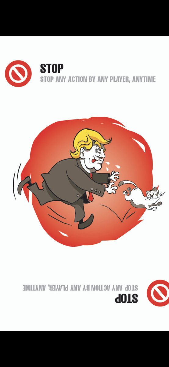 CatFirstAgain's tweet photo. STOP any action by any player…
except the cat. Cat First Again. 😼 https://t.co/XLtOXJCBOO